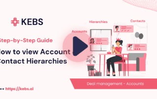 How to view Account & Contact Hierarchies