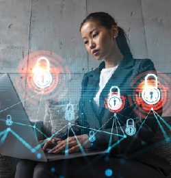 UK Transfer Degree Programme (Law)